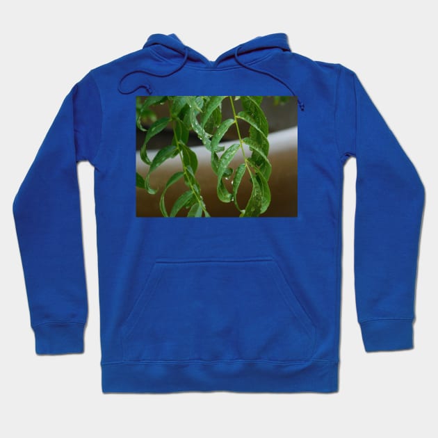 Morning dew Hoodie by FriendlyComputerHelp